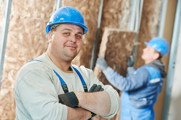 Best Cellulose Insulation in Pleasant View, TN